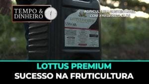 Lottus Premium sucesso na fruticultura