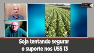 Soja tentando segurar o suporte nos US$ 13