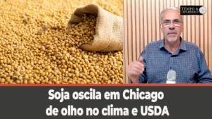 Soja oscila em Chicago de olho no clima e USDA . Dólar cai a espera dos números dos empregos nos EUA