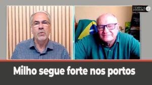 Milho segue forte nos portos