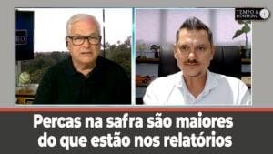 Percas na safra são maiores do que estão nos relatórios. Comentários do Dr. Semente