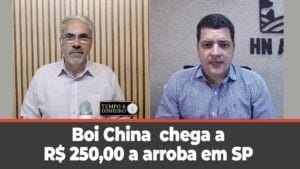 Boi gordo tem negociações lentas na B3 e firmes no mercado físico com boi China a R$ 250,00  @ em SP