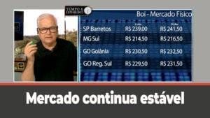 Boi Gordo: Mercado mantém a estabilidade neste final de ano. Hyrberville comenta