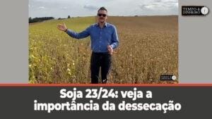 Soja 23/24: veja a importância da dessecação com Alexandre Gazzola