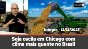 Soja oscila em Chicago com clima mais quente no Brasil. Dólar em dia de alta após dados dos EUA.