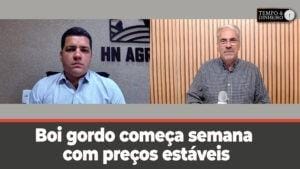 Boi gordo começa semana com preços estáveis e na gangorra na B3. análise de Hyberville Neto