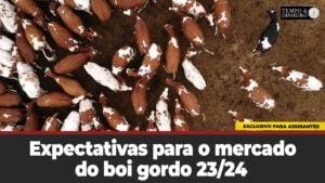 Expectativa para o mercado do boi gordo 23/24. Análise de Hyberville Neto