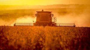 Soja fecha ano com dúvidas sobre a safra