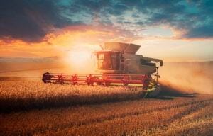 Soja se protege em semana de Ano Novo Chinês, comenta Vlamir Brandalizze