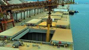 Soja avança e pode estar com Cavalinho Encilhado