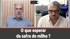 O que esperar da safra de milho?  Roberto Carlos Rafael comenta