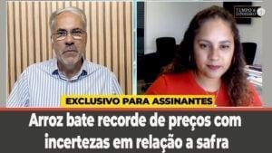 Arroz bate recorde de preços com incertezas em relação a safra. O que vem por aí?