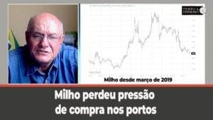 Milho perdeu pressão de compra nos portos para o curto prazo