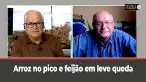 Arroz fechando semana no pico – Feijão em colheita e leve queda