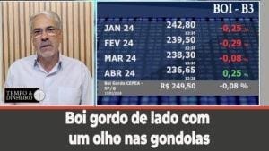 Boi gordo de lado com um olho nas gondolas dos açougues e outro nas exportações aquecidas