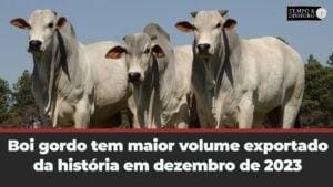 Boi gordo tem maior volume exportado da história em dezembro de 2023 , seguido por carnes de suínos e de aves. A análise é do Hyberville Neto