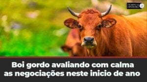 Mercado de lado avalia com calma as negociações neste inicio de ano. Acompanhe com Hyberville Neto