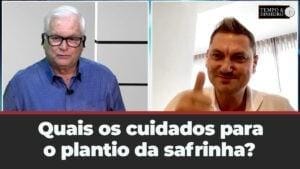 Quais os cuidados paro o plantio da safrinha?