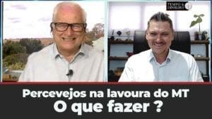 Pré-colheita e dessecação de soja. Acompanhe  as orientações do professor Alexandre Gazzola