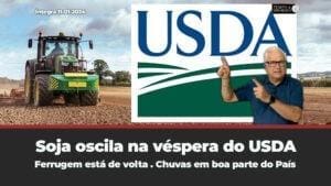 Soja oscila na véspera do USDA. Ferrugem está de volta . Chuvas em boa parte do País