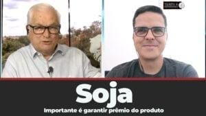Soja: nesse momento o importante é garantir prêmio do produto , indica Maurício Belinello
