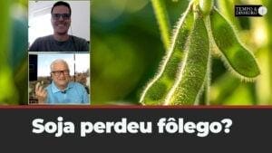 Soja perdeu fôlego? Maurício Belinello comenta