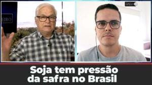 Soja tem pressão da safra no Brasil e prêmios nos portos ficam negativos. O que fazer?
