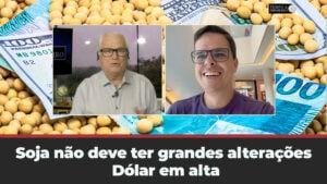Soja não deve ter grandes alterações no mercado físico. Dólar em alta  Maurício Bellinello