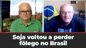 Soja voltou a perder fôlego no Brasil