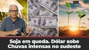 Soja tem mais um dia de queda . Dólar sobe. Chuvas intensas previstas para o Sul chegam ao Sudeste