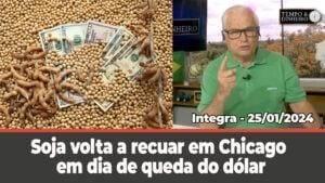 Soja volta a recuar em Chicago em dia de queda do dólar