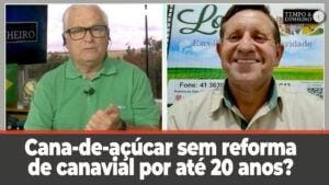 Cana de açúcar sem reforma de canavial por até 20 anos, Altamiro Gomes da Lottus