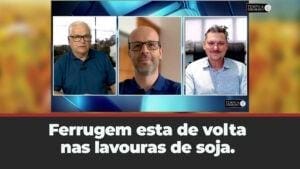 Ferrugem esta de volta nas Lavouras