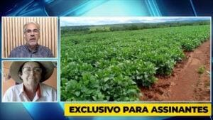 Mariza Stuani, referência no agronegócio brasileiro, deve colher acima de 100 sacas de soja por ha