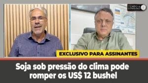Soja sob pressão do clima pode romper os US$ 12 bushel . Milho tem safra com tecnologia e área menor