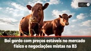 Boi gordo com preços estáveis no mercado físico e negociações mistas na B3
