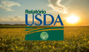 USDA mantém estoques finais de soja dos EUA, mas reduz números do milho e do trigo para 25/26