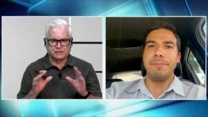 Percevejo da barriga verde e mosca branca migrando para o milho. Desequilíbrio do ambiente