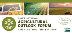 USDA estima área 24/25 maior de soja, Carla Mendes fala sobre os números do Outlook Forum