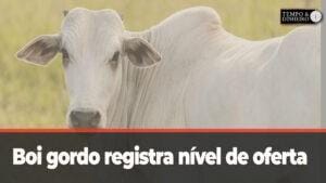 Níveis de oferta mais confortável mas escalas de abate não andam pela briga de preços