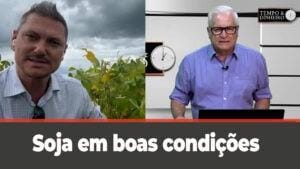 Soja em boas condições abre espaço para milho em Goiás. Acompanhe o registro de Alexandre Gazzola