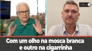 Com um olho na mosca branca e outro na cigarrinha. O que fazer?