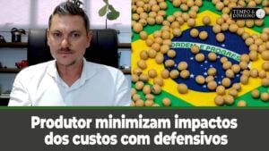 Manejo adequado e atenção redobrada do produtor minimizam impactos dos custos com defensivos