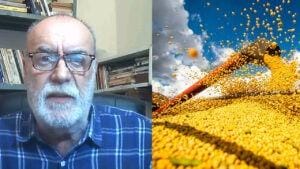 Ações: Vittia perde com insumos, Boa Safra ganha com sementes