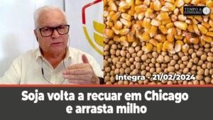 Soja volta a recuar em Chicago e arrasta milho. Dólar do lado negativo. Chuvas intensas