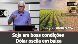 Soja tem movimento técnico antes do USDA e feriadão chinês. Dólar em baixa Chuvas no centro-norte do