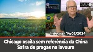 Chicago oscila sem referência da China. Dólar abre com ajuste. Safra de pragas na lavoura