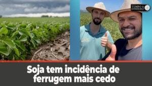 Soja tem incidência de ferrugem mais cedo nas lavouras, Lucas Navarini comenta