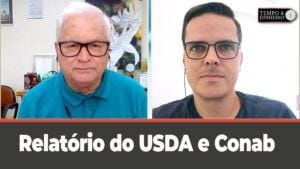 Soja, relatório do USDA e Conab. O que fazer?