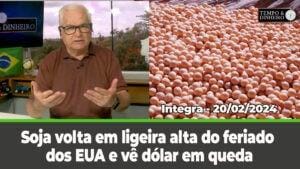 Soja volta em ligeira alta do feriado dos EUA e vê dólar em queda. Chuvas volumosas